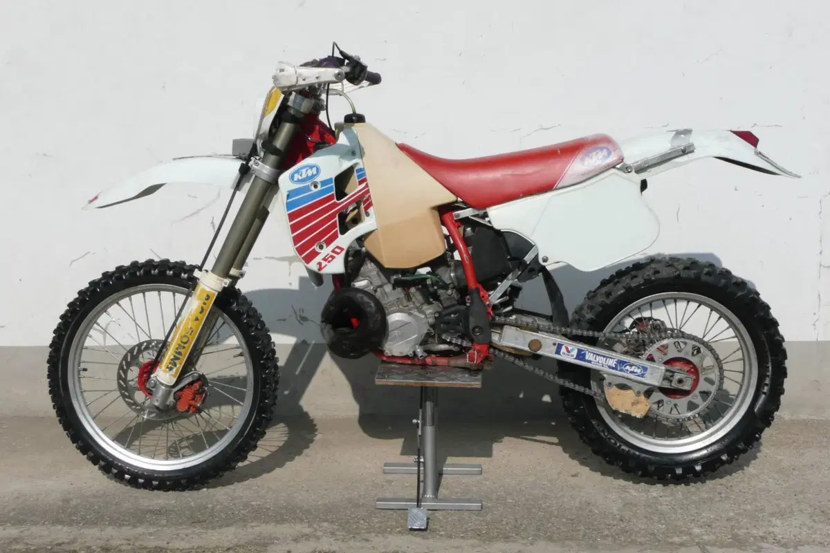 KTM GS 250 (2)
