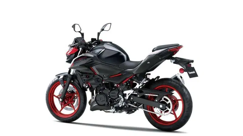 Kawasaki Z 500 SE (2024 - 26) (9)
