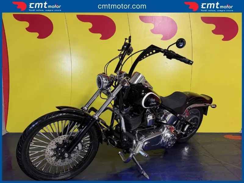 Harley-Davidson 1584 Custom (2007) - FXSTC (2)