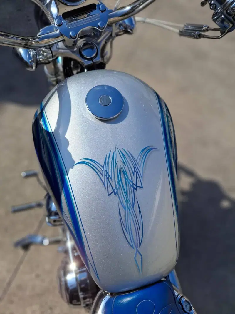 Harley-Davidson 1200 Low (2008 - 09) - XL 1200L (3)