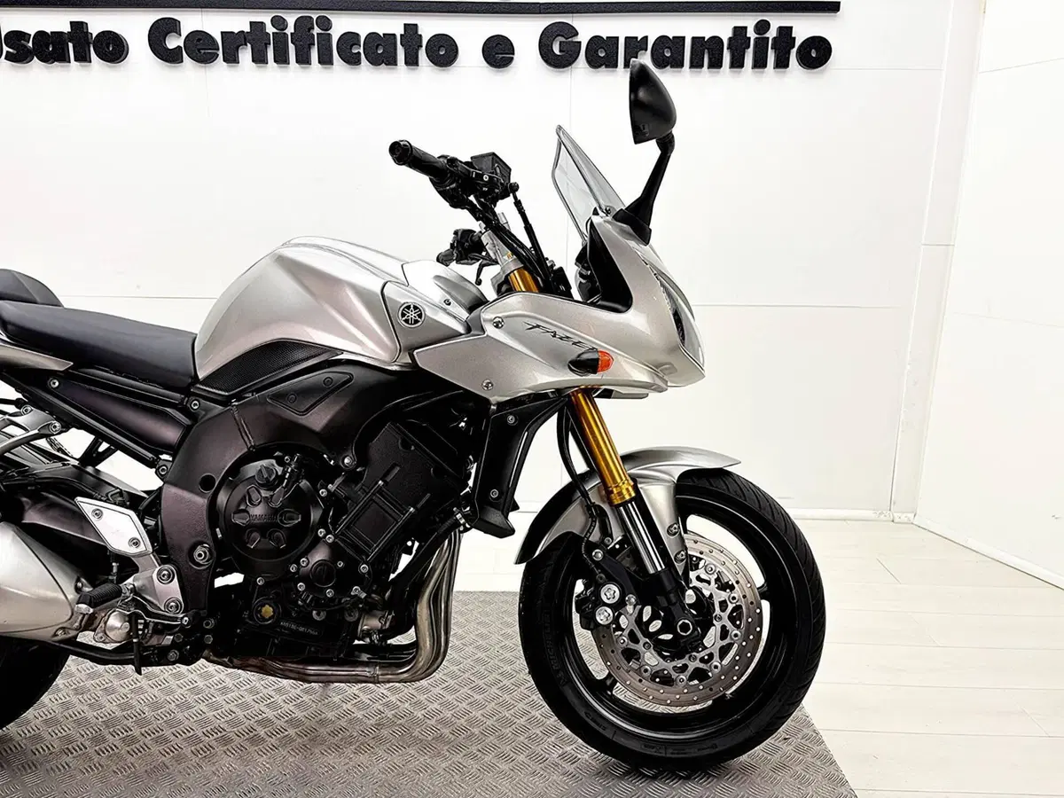 Yamaha FZ1 Fazer (2006 - 16) (9)