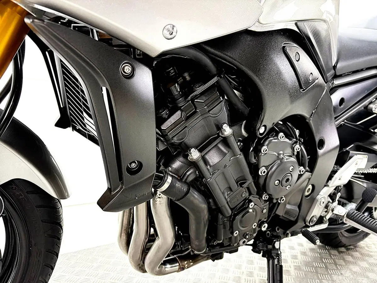 Yamaha FZ1 Fazer (2006 - 16) (15)
