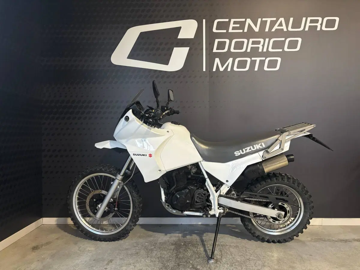 Suzuki DR 650 R (1990 - 91) (2)