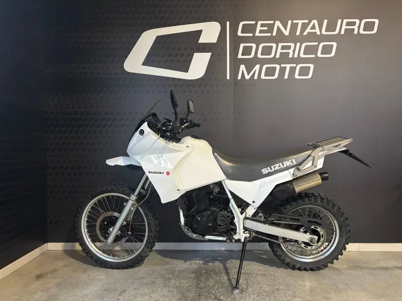 Suzuki DR 650 R (1990 - 91) (2)