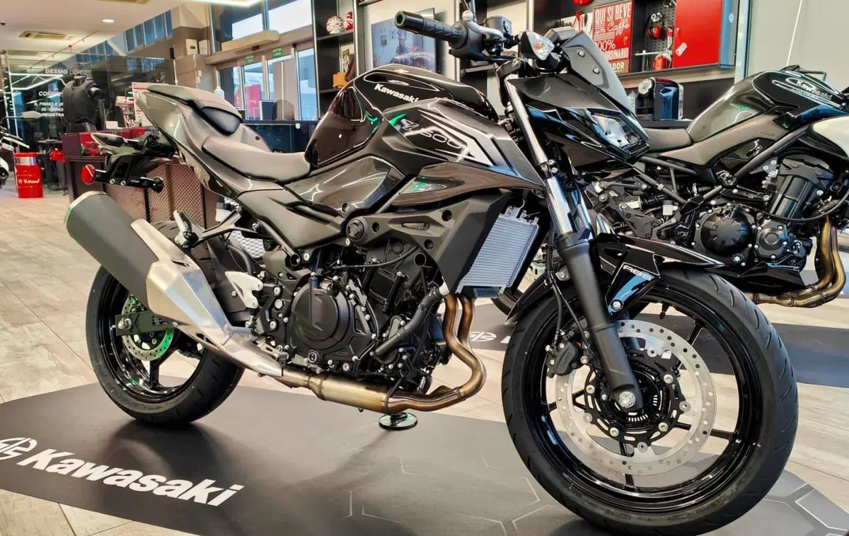Kawasaki Z 500 (2024 - 26) (9)
