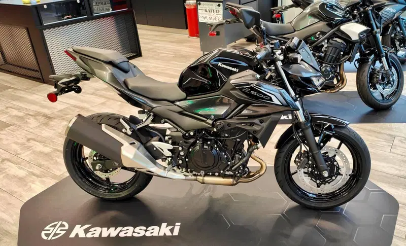 Kawasaki Z 500 (2024 - 26) (11)