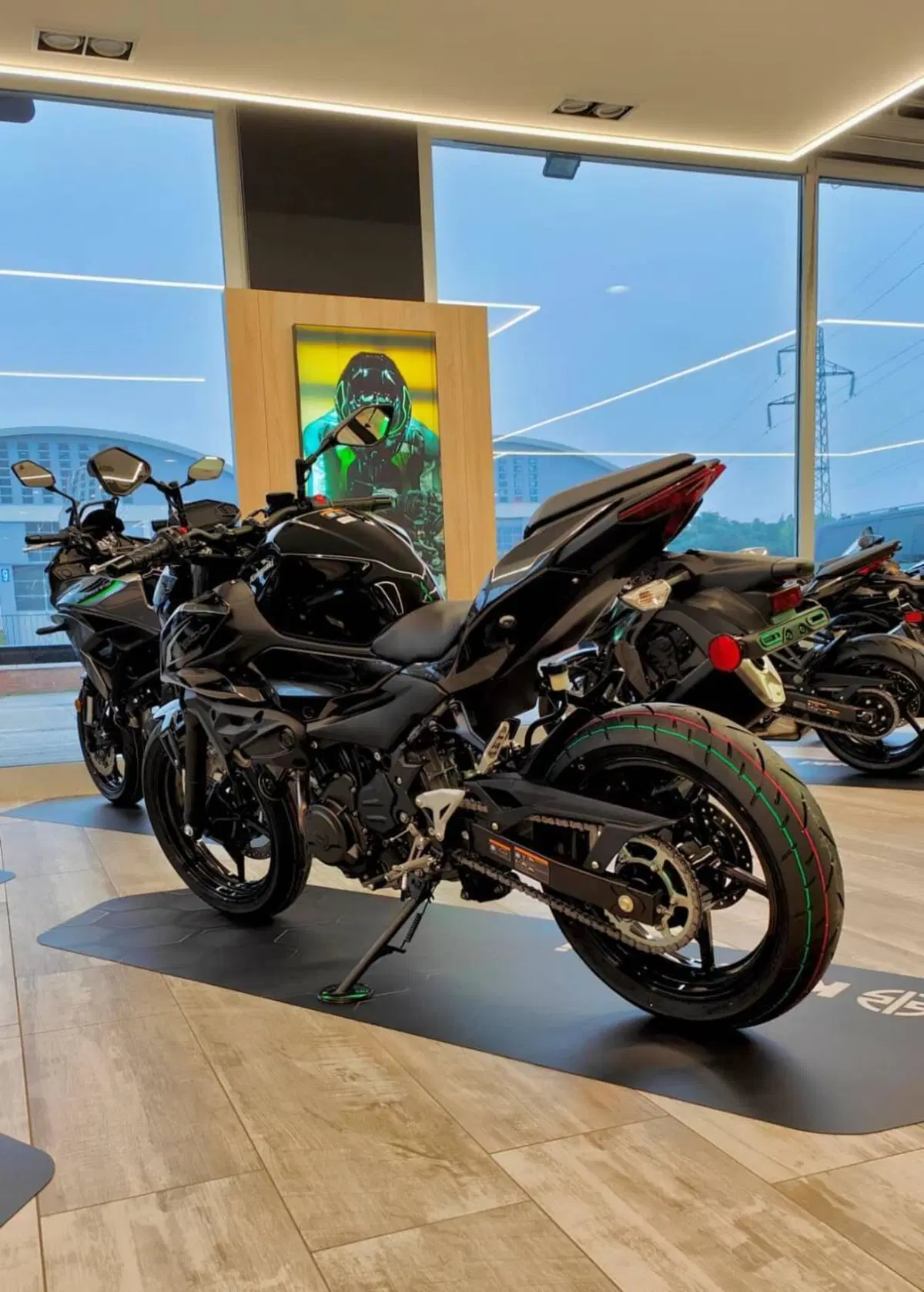 Kawasaki Z 500 (2024 - 26) (13)