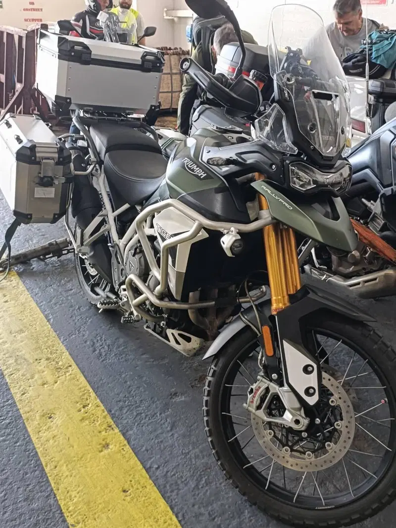 Triumph Tiger 900 Rally Pro (2020 - 23) (11)
