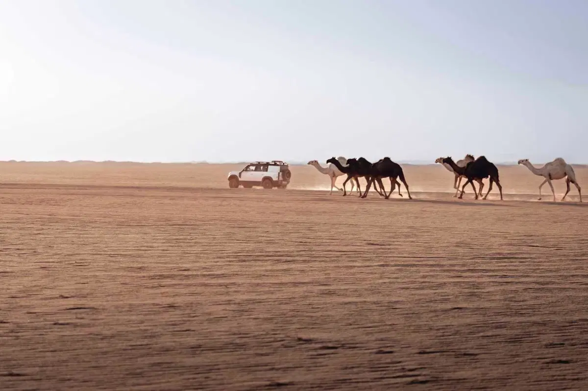 Dakar 2026. Italiani: Buon Anno 2026 (ci siamo capiti, vero?) [VIDEO] (5)