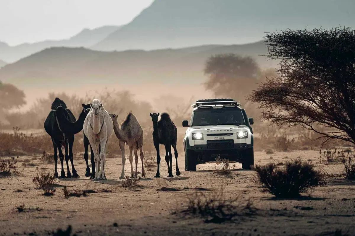 Dakar 2026. Italiani: Buon Anno 2026 (ci siamo capiti, vero?) [VIDEO] (6)