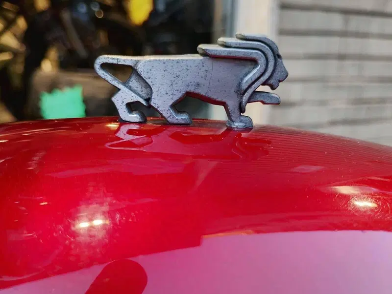 Benelli Leoncino 500 (2021 - 25) (5)