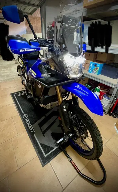 Yamaha T&eacute;n&eacute;r&eacute; 700 World Raid (2022 - 25) usata