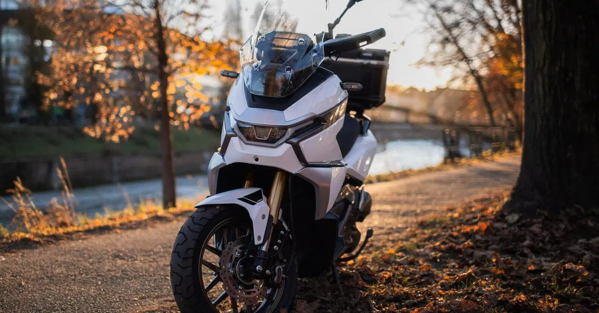 Phelon &amp; Moore Panthette X: lo scooter che porta l&rsquo;avventura su ruote (quasi!) alte