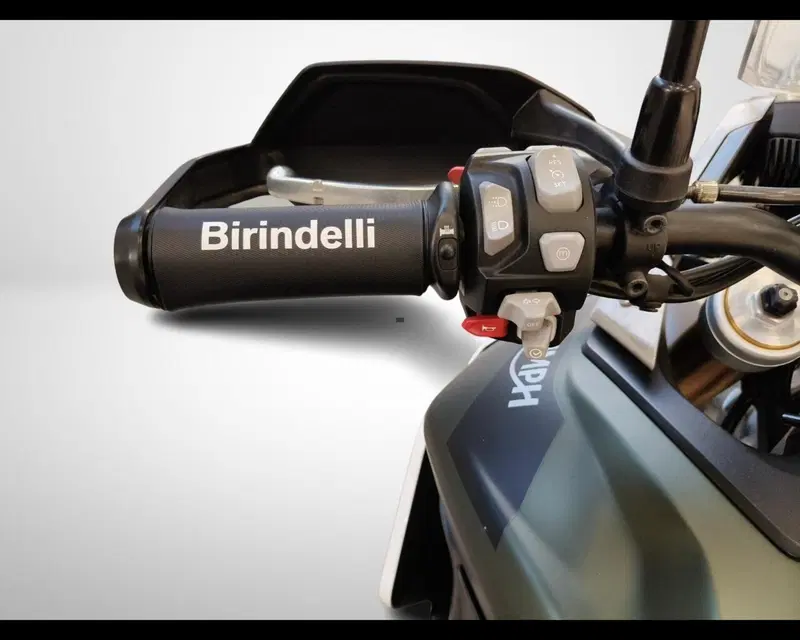 Triumph Tiger 900 Rally Pro (2020 - 23) (10)