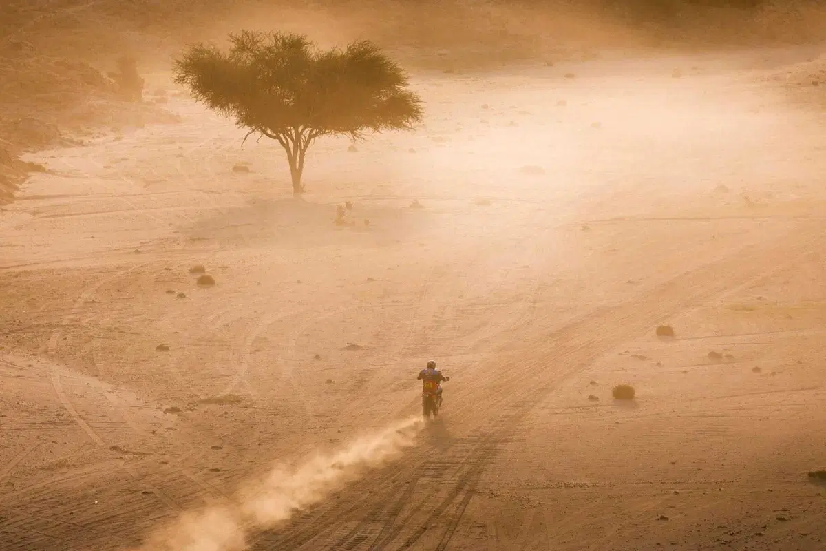Dakar 2026. Tappa 1 BIS. Equilibri di coppia e assalti di massa [VIDEO] (11)