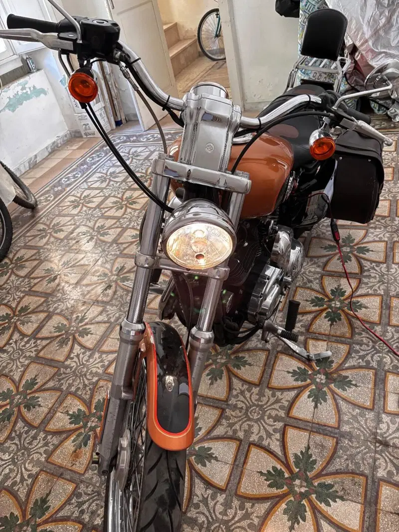 Harley-Davidson 1200 Custom (2007 - 13) - XL 1200C (2)