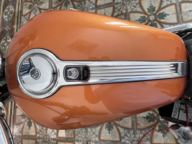 Harley-Davidson 1200 Custom (2007 - 13) - XL 1200C (4)