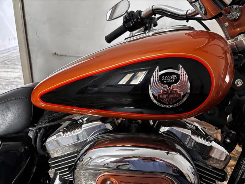 Harley-Davidson 1200 Custom (2007 - 13) - XL 1200C (7)