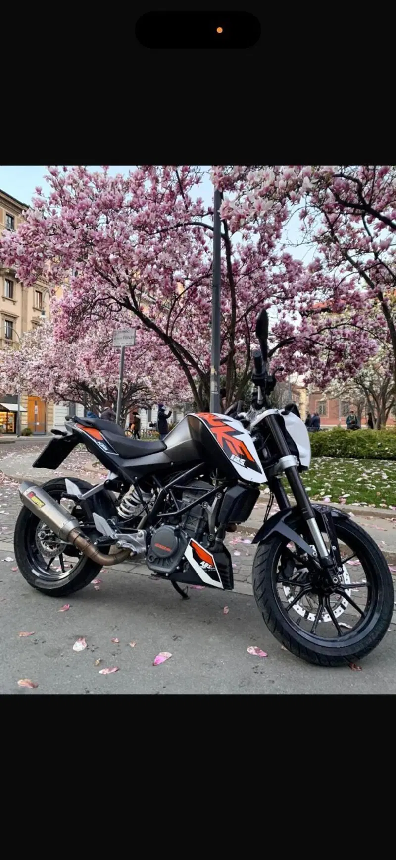KTM 125 Duke ABS (2013 - 16) (5)