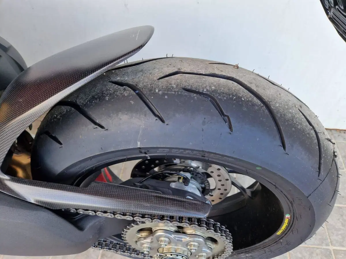 Ducati Streetfighter V4 S (2023 - 24) (12)