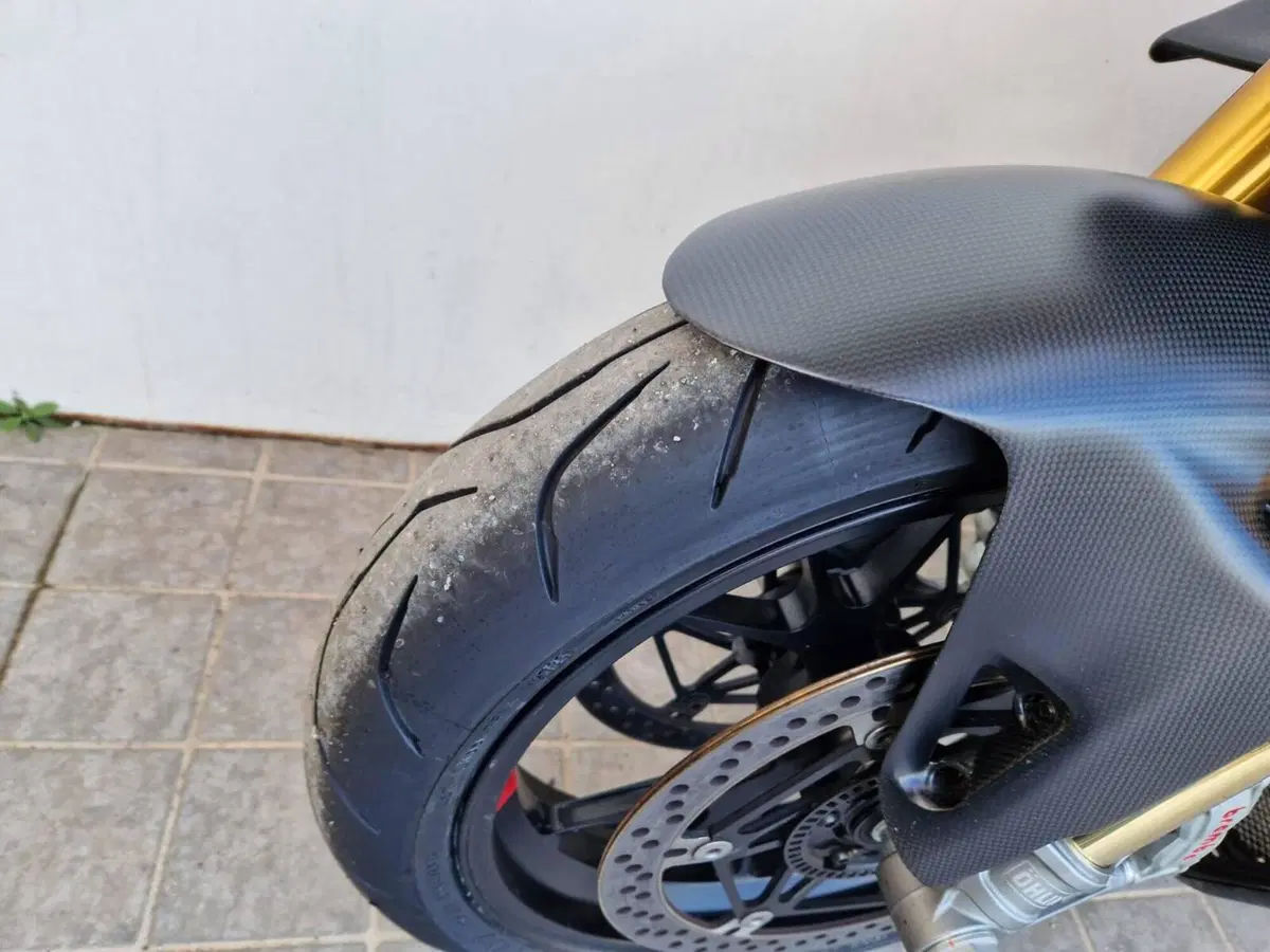 Ducati Streetfighter V4 S (2023 - 24) (13)
