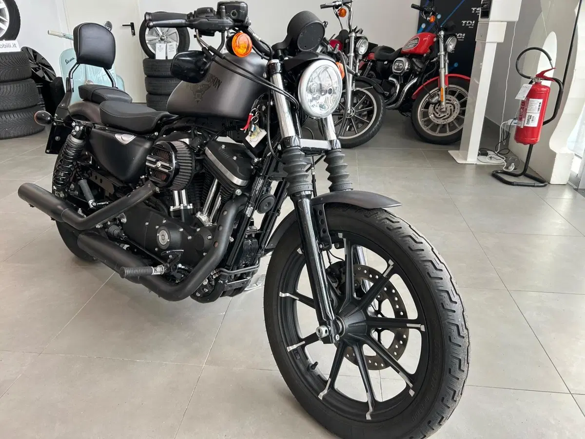 Harley-Davidson 883 Iron (2012 - 14) - XL 883N (3)