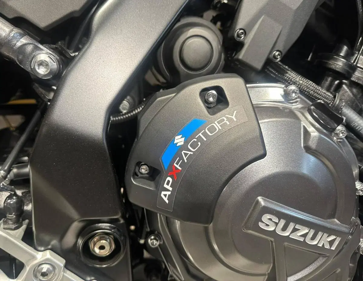 Suzuki GSX-8S (2025 - 26) (8)