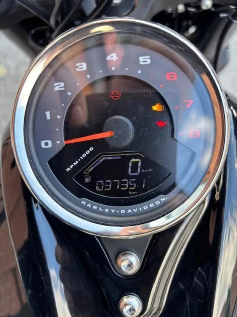 Harley-Davidson Fat Bob 114 (2021 - 25) (5)