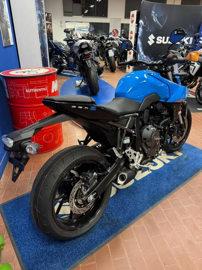 Suzuki GSX-8S (2023 - 24) (4)