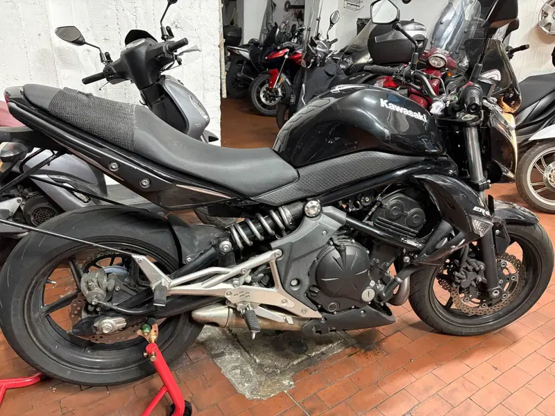 Kawasaki ER-6N (2009 - 11) (2)