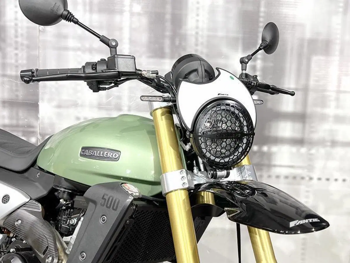 Fantic Motor Caballero 500 Rally (2025 - 26) (5)