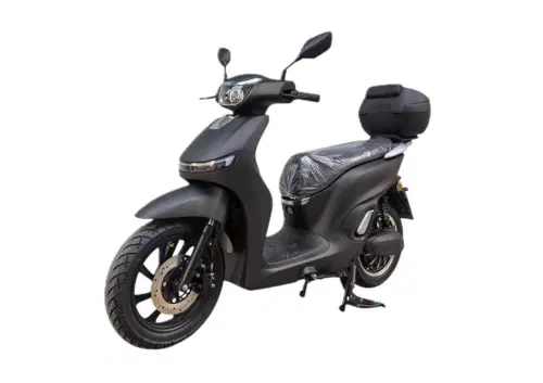 CJR MotorEco Deer
