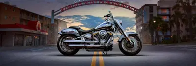 "Harley-Davidson deve evolvere o rischia il collasso", sostiene il CEO di Ford