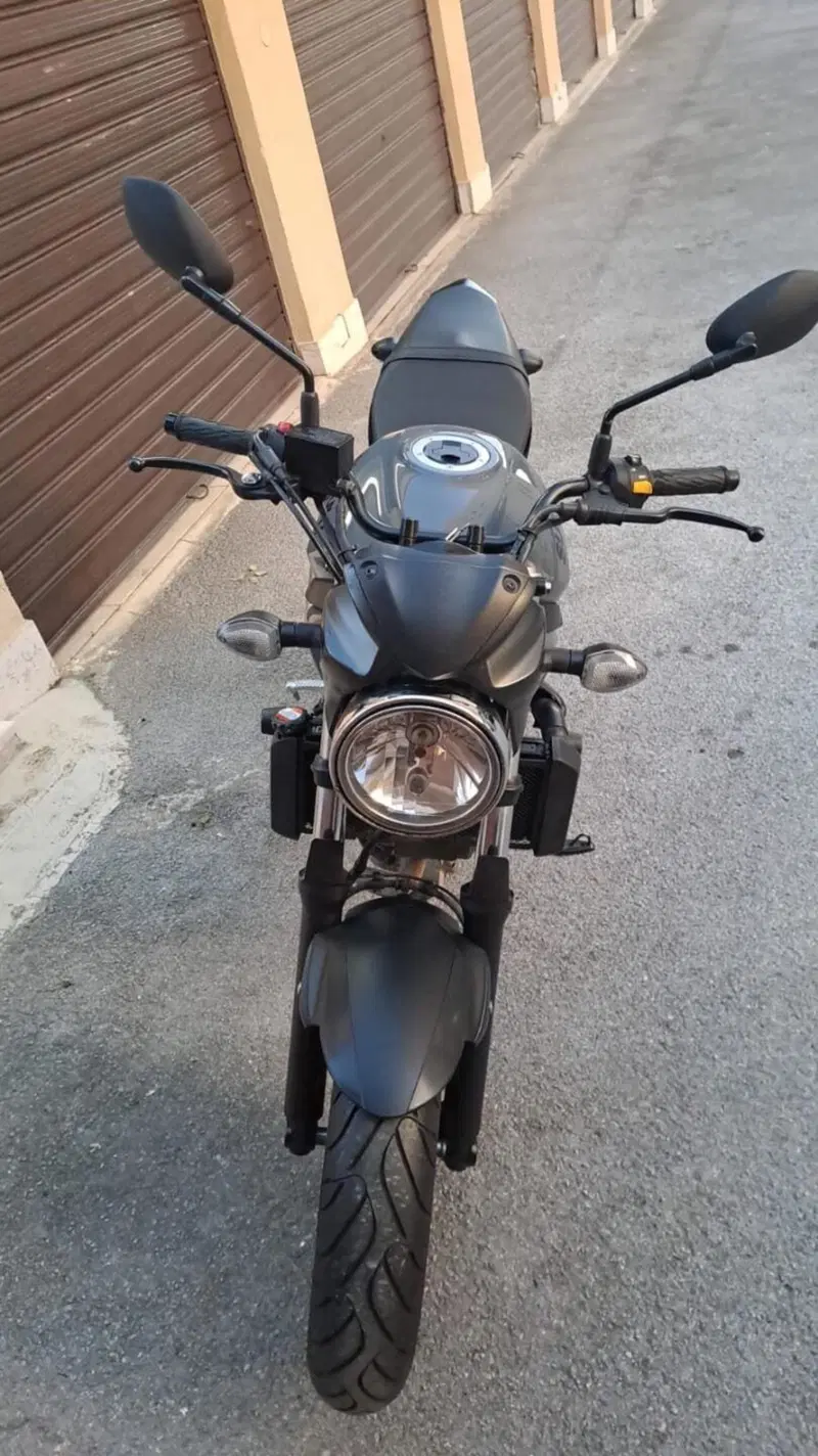 Suzuki SV650 (2021 - 24) (2)