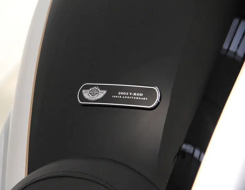 Harley-Davidson 1130 V-Rod (2002 - 05) - VRSCA (7)