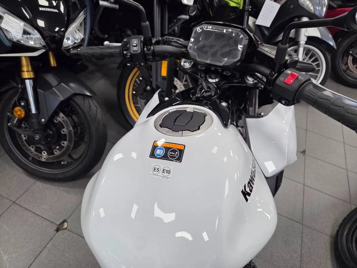 Kawasaki Z 650 (2025 - 26) (3)