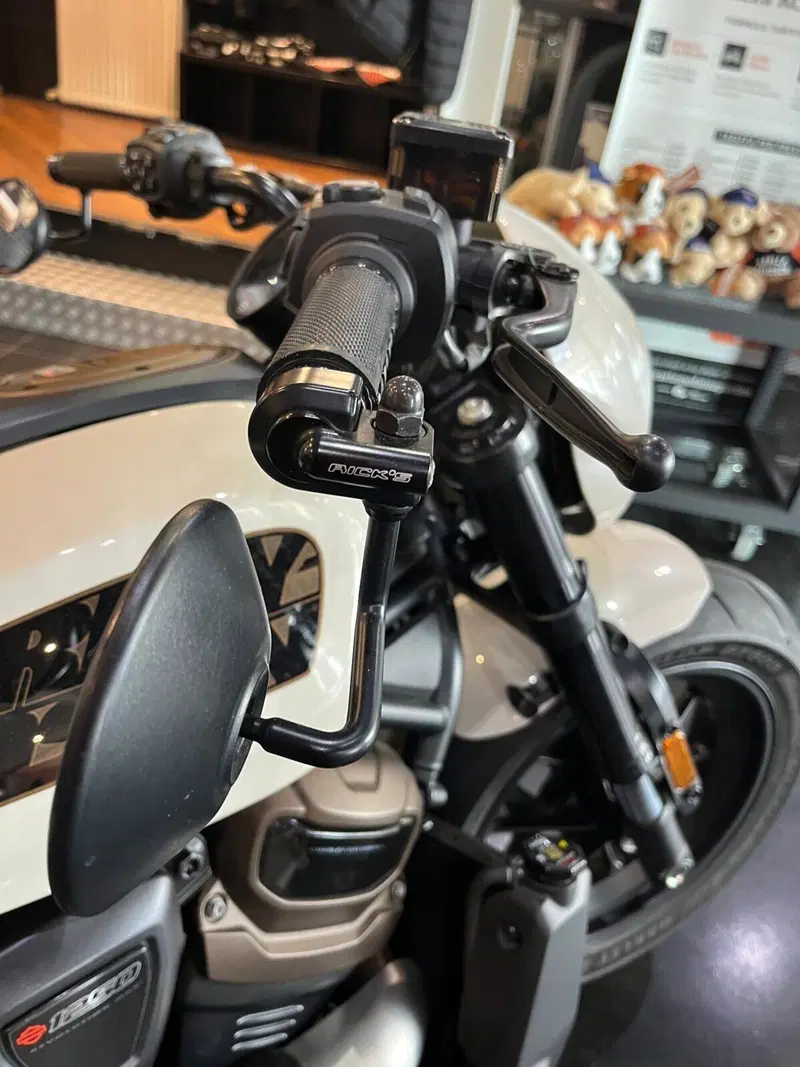 Harley-Davidson Sportster S (2022 - 24) (6)