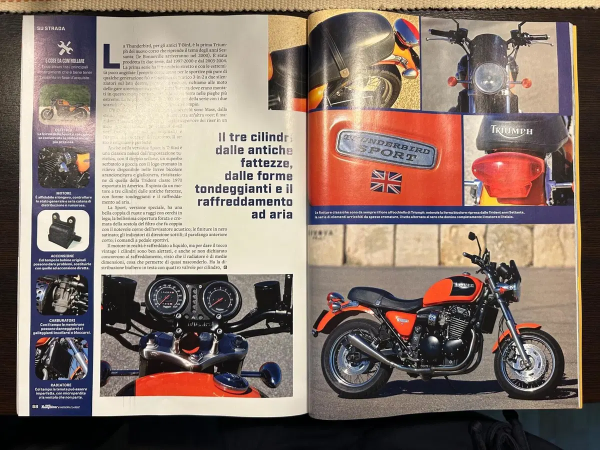 Triumph Thunderbird Sport 900 (4)