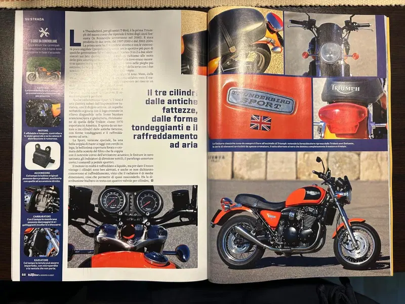 Triumph Thunderbird Sport 900 (4)
