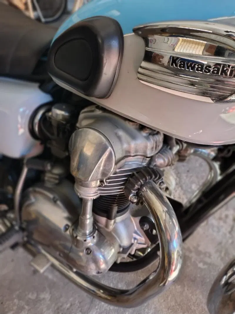 Kawasaki W 650 (1999 - 00) (10)