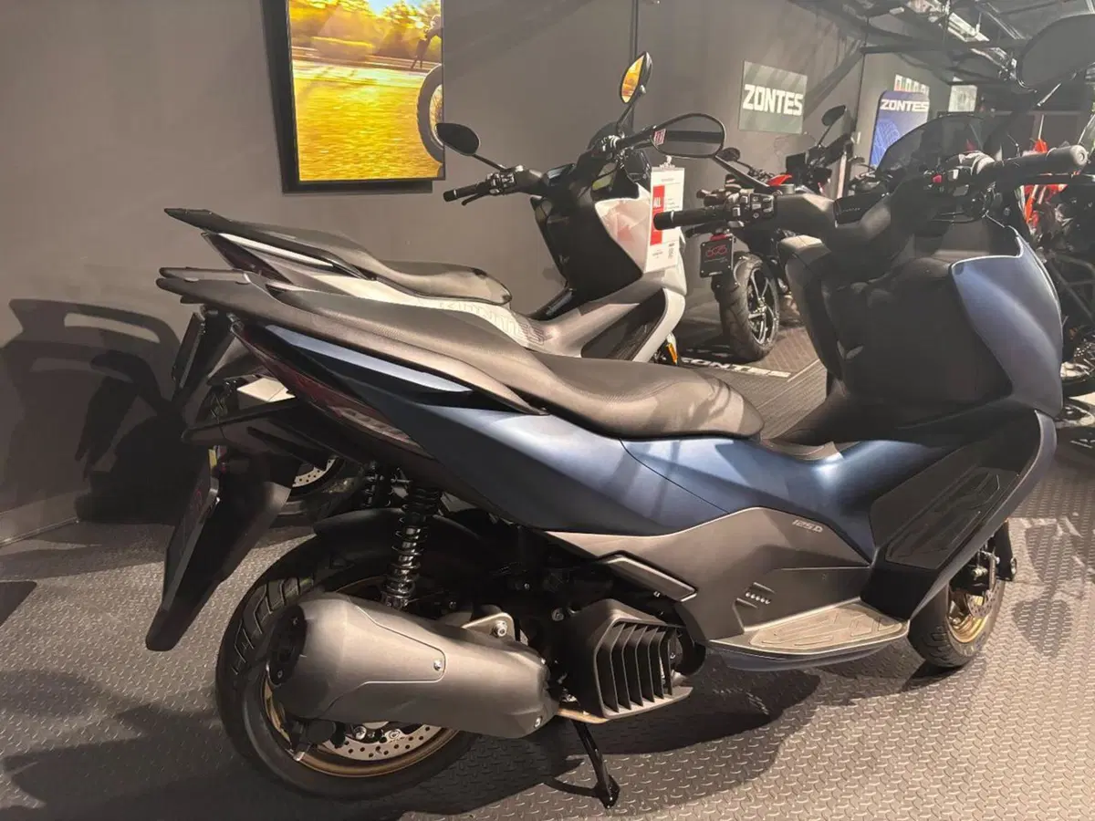 Zontes ZT125-D (2023 - 26) (6)