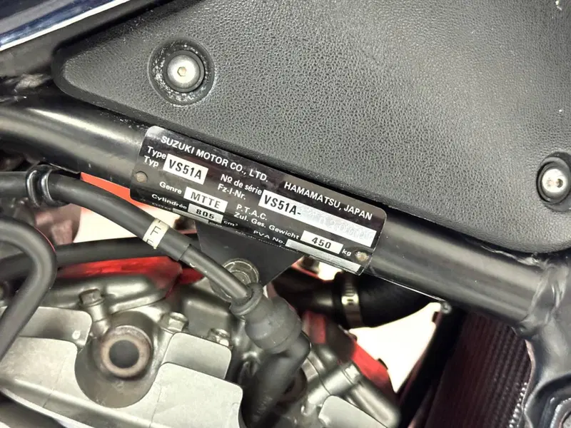 Suzuki VX 800 (11)