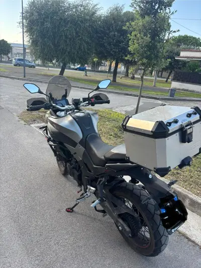 Voge Valico 500DSX (2021 - 24) usata