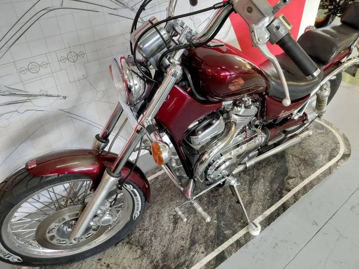 Suzuki INTRUDER (5)