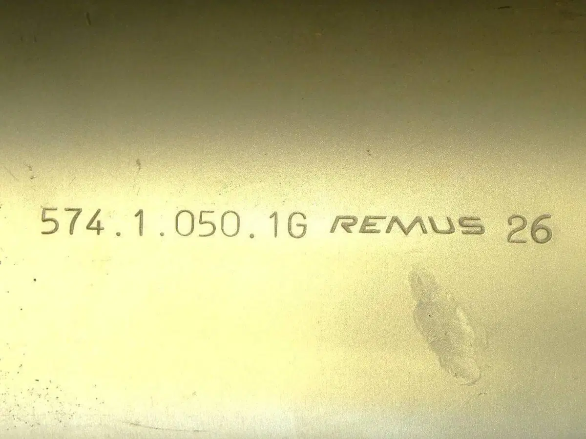 Coppia silenziatori Remus per Ducati (n.268) (8)