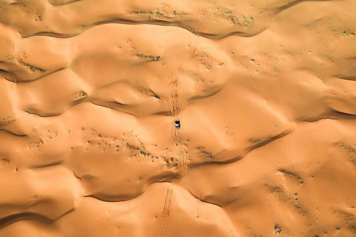 Dakar 2026. Rest Day. Bilancio approvato. Moto: se la giocano Sanders e Brabec. Auto, Al Attiyah, se dune, o … altri 5 (18)