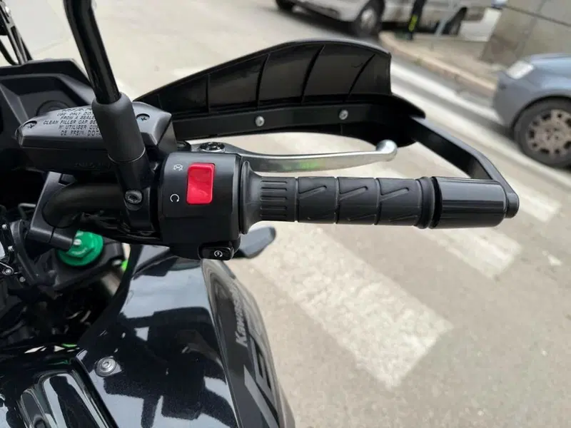 Kawasaki Versys 650 Grand Tourer (2021) (10)