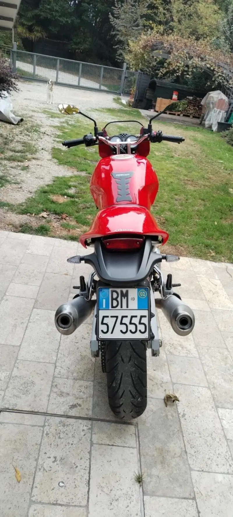 Ducati Monster 620 S  I.E (2002) (3)
