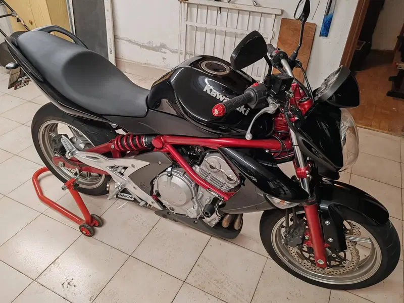 Kawasaki ER-6N (2006 - 09)
