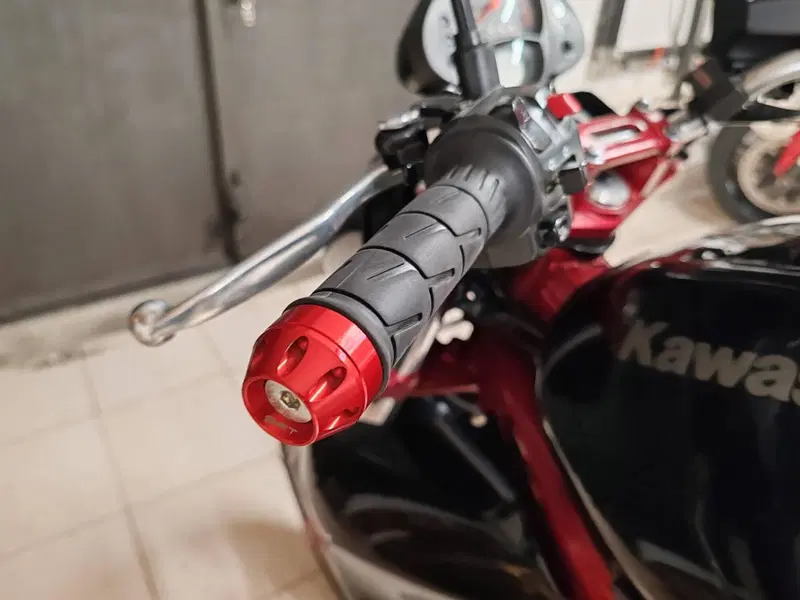 Kawasaki ER-6N (2006 - 09) (4)